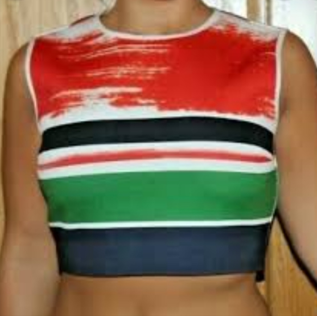 Colorful Striped Clover Canyon Crop Top In Sz. Small.